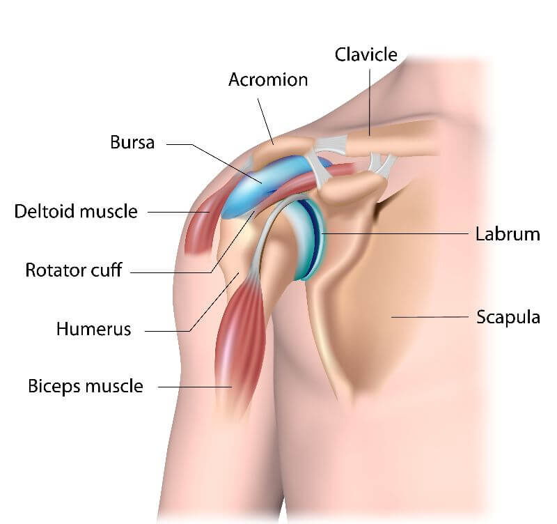 Muscle Pain Under Your Collarbone