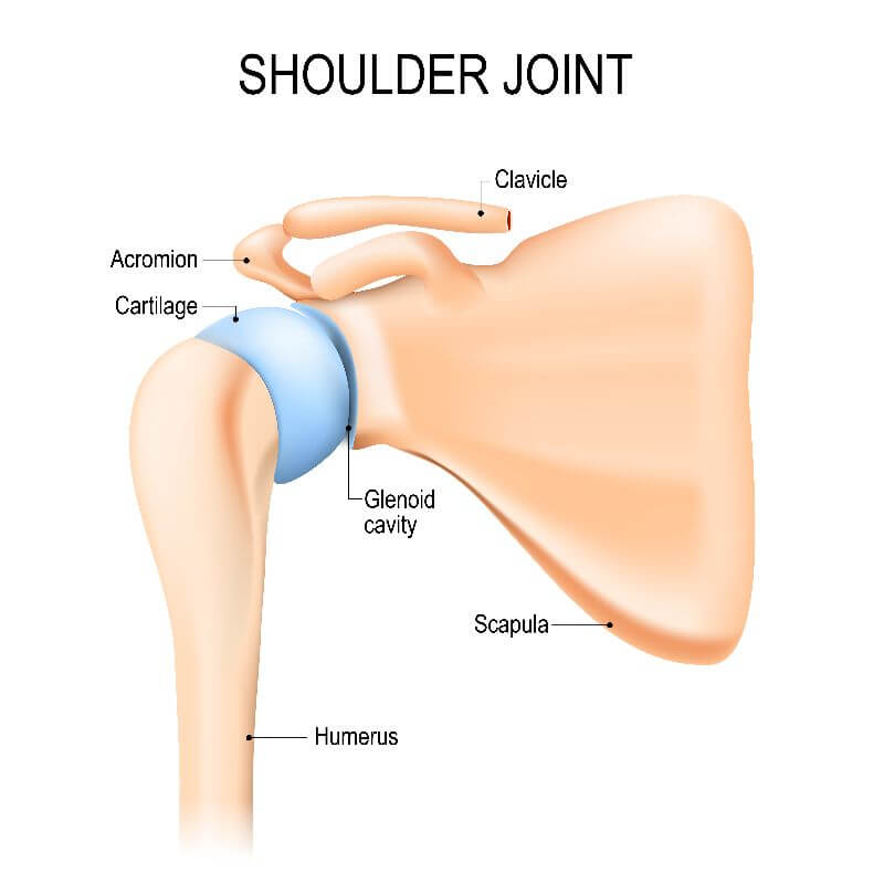 How to Sleep Comfortably after Shoulder Surgery  Shoulder surgery, Shoulder  replacement surgery, Rotator cuff surgery